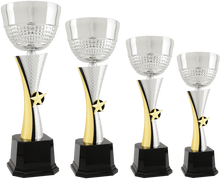 Load image into Gallery viewer, Silver/Gold Textured Completed Metal Cup Trophy with free custom plate, Personalized Engraving Gifts shipped from USA.