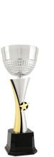 Load image into Gallery viewer, Silver/Gold Textured Completed Metal Cup Trophy with free custom plate, Personalized Engraving Gifts shipped from USA.
