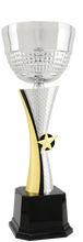Load image into Gallery viewer, Silver/Gold Textured Completed Metal Cup Trophy with free custom plate, Personalized Engraving Gifts shipped from USA.