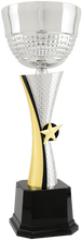 Load image into Gallery viewer, Silver/Gold Textured Completed Metal Cup Trophy with free custom plate, Personalized Engraving Gifts shipped from USA.