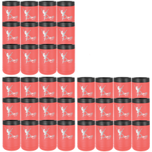 Load image into Gallery viewer, Custom Bulk (36 Count), ($16.10 Each) Polar Camel Stainless Steel Vacuum Insulated Beverage Holder