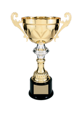 Load image into Gallery viewer, Gold Completed Metal Cup Trophy with free custom plate, Personalized Engraving Gifts shipped from USA.