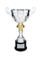 Load image into Gallery viewer, Silver Completed Metal Cup Trophy with free custom plate
