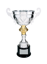 Load image into Gallery viewer, Silver Completed Metal Cup Trophy with free custom plate, Personalized Engraving Gifts shipped from USA.