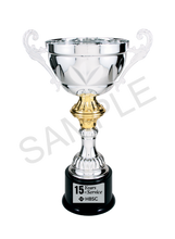 Load image into Gallery viewer, Silver Completed Metal Cup Trophy with free custom plate, Personalized Engraving Gifts shipped from USA.
