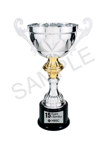 Silver Completed Metal Cup Trophy with free custom plate