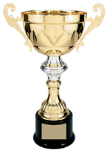 Load image into Gallery viewer, Gold Completed Metal Cup Trophy with free custom plate, Personalized Engraving Gifts shipped from USA.