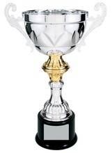 Load image into Gallery viewer, Silver Completed Metal Cup Trophy with free custom plate
