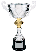 Load image into Gallery viewer, Silver Completed Metal Cup Trophy with free custom plate, Personalized Engraving Gifts shipped from USA.