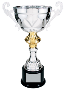 Silver Completed Metal Cup Trophy with free custom plate