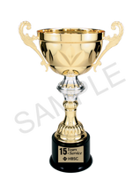 Load image into Gallery viewer, Gold Completed Metal Cup Trophy with free custom plate

