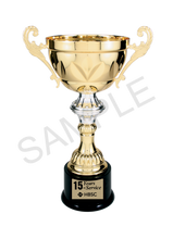 Load image into Gallery viewer, Gold Completed Metal Cup Trophy with free custom plate, Personalized Engraving Gifts shipped from USA.