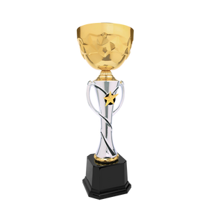 Silver/Gold Completed Metal Cup Trophy with free custom plate