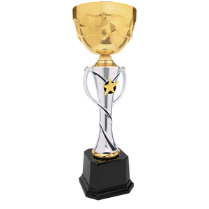 Silver/Gold Completed Metal Cup Trophy with free custom plate