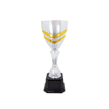 Load image into Gallery viewer, Completed Metal Cup Trophy with free custom plate, Personalized Engraving Gifts shipped from USA.