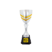 Load image into Gallery viewer, Completed Metal Cup Trophy with free custom plate
