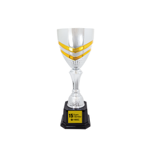 Load image into Gallery viewer, Completed Metal Cup Trophy with free custom plate, Personalized Engraving Gifts shipped from USA.