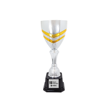 Load image into Gallery viewer, Completed Metal Cup Trophy with free custom plate, Personalized Engraving Gifts shipped from USA.