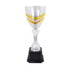Load image into Gallery viewer, Completed Metal Cup Trophy with free custom plate
