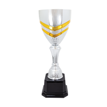 Load image into Gallery viewer, Completed Metal Cup Trophy with free custom plate, Personalized Engraving Gifts shipped from USA.