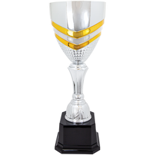 Load image into Gallery viewer, Completed Metal Cup Trophy with free custom plate, Personalized Engraving Gifts shipped from USA.