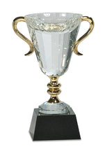 Load image into Gallery viewer, Crystal Cup with Gold Handles and Stem