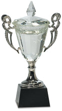 Load image into Gallery viewer, Crystal Cup with Silver Handles and Stem
