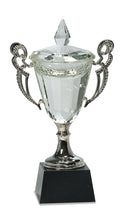 Load image into Gallery viewer, Crystal Cup with Silver Handles and Stem

