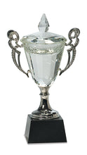 Load image into Gallery viewer, Crystal Cup with Silver Handles and Stem, Personalized Engraving Gifts shipped from USA.