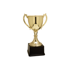 Load image into Gallery viewer, Gold Completed Zinc Cup Trophy with free custom plate, Personalized Engraving Gifts shipped from USA.