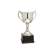 Load image into Gallery viewer, Silver Completed Zinc Cup Trophy with free custom plate, Personalized Engraving Gifts shipped from USA.