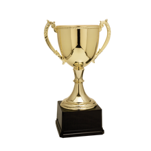 Load image into Gallery viewer, Gold Completed Zinc Cup Trophy with free custom plate, Personalized Engraving Gifts shipped from USA.