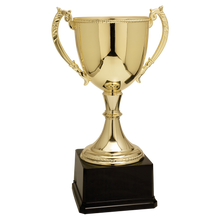 Load image into Gallery viewer, Gold Completed Zinc Cup Trophy with free custom plate, Personalized Engraving Gifts shipped from USA.