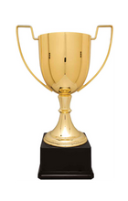 Load image into Gallery viewer, Gold Completed Zinc Cup Trophy with free custom plate
