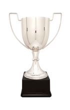 Load image into Gallery viewer, Silver Completed Zinc Cup Trophy with free custom plate, Personalized Engraving Gifts shipped from USA.