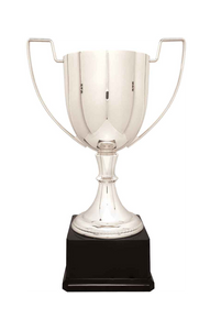 Silver Completed Zinc Cup Trophy with free custom plate