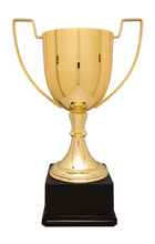 Load image into Gallery viewer, Gold Completed Zinc Cup Trophy with free custom plate, Personalized Engraving Gifts shipped from USA.