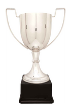 Load image into Gallery viewer, Silver Completed Zinc Cup Trophy with free custom plate
