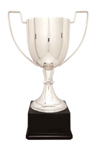 Load image into Gallery viewer, Silver Completed Zinc Cup Trophy with free custom plate, Personalized Engraving Gifts shipped from USA.