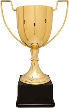 Load image into Gallery viewer, Gold Completed Zinc Cup Trophy with free custom plate
