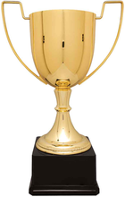 Load image into Gallery viewer, Gold Completed Zinc Cup Trophy with free custom plate, Personalized Engraving Gifts shipped from USA.