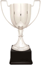 Load image into Gallery viewer, Silver Completed Zinc Cup Trophy with free custom plate, Personalized Engraving Gifts shipped from USA.
