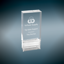 Load image into Gallery viewer, Custom Tribute Acrylic, Personalized Engraving Gifts shipped from USA.