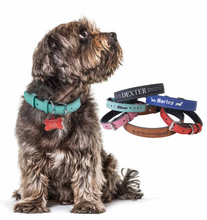 Load image into Gallery viewer, Dog Collar Personalized
