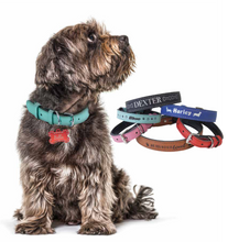Load image into Gallery viewer, Dog Collar Personalized